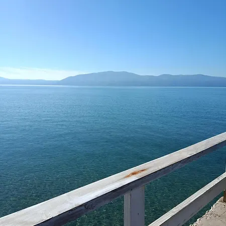 Guidus Vlore